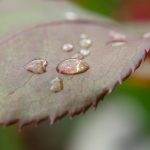 奇异果体育:探索新兴运动项目的无限可能性 4cjayr9