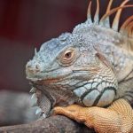 太阳城集团香港:探索其在博彩行业的独特地位与影响力 5vprrzttm0