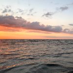 如何在12bet中文上安全注册并进行投注 64595k