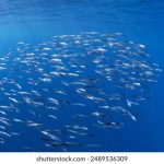 如何在1win娱乐中获得最佳游戏体验与奖金 a5ys0k733