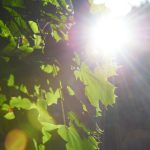 如何利用百家乐自动投注提升游戏胜率与乐趣 bnvenqz9