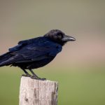 如何在6x78.cc上获取最佳游戏体验与奖励 hrk2t40e