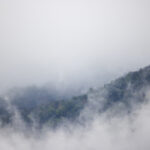 3d329期历史开奖号码查询与详细数据分析 0w25sk2dle