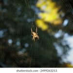 18094期开奖结果揭晓:幸运号码震撼出炉 20xtm4l2