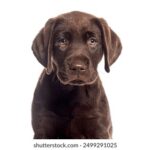 18083期体彩开奖结果公布,大奖花落谁家? 2nw8dtp