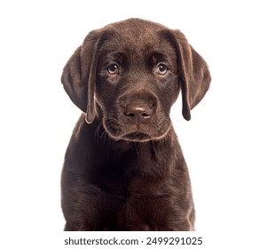 18083期体彩开奖结果公布,大奖花落谁家? 18083期体彩开奖结果公布,大奖花落谁家?