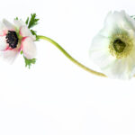 3d88期开奖结果最新公布,中奖号码全面揭晓 3y01isqxrz