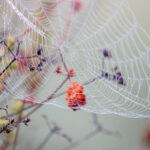 18083期开奖结果震撼揭晓,大奖花落谁家引关注 465w6u87