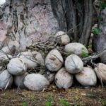 18098期胜负彩开奖结果揭晓,惊喜大奖花落谁家 4d8q63kia