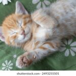 18090期开奖号码公布,最新中奖结果查询 6kykqs