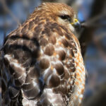 18101期开奖结果正式公布,中奖号码全面揭晓 7bg61