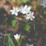 18074期足彩开奖结果揭晓:大奖花落谁家引关注 7vbtn4