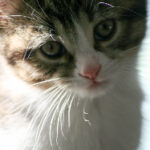 18076期开奖结果震撼揭晓,大奖花落谁家引关注 9233r4m4o8