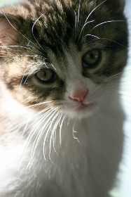 18076期开奖结果震撼揭晓,大奖花落谁家引关注 18076期开奖结果震撼揭晓,大奖花落谁家引关注