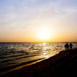 3D313期开奖结果最新公布,中奖号码全面揭晓 dhyypn600a