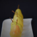 3d284期开奖结果最新公布,中奖号码全面揭晓 fpg0k8tqu