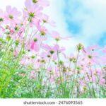 18093期足彩开奖结果公布,最新中奖号码全面揭晓 gk894k7q8