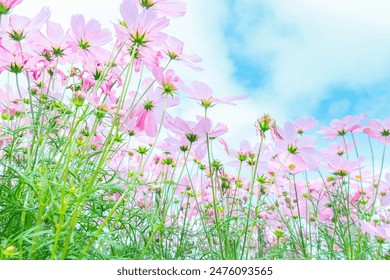 18093期足彩开奖结果公布,最新中奖号码全面揭晓 18093期足彩开奖结果公布,最新中奖号码全面揭晓