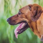 18072期开奖结果公布,幸运号码震撼揭晓 lsok9