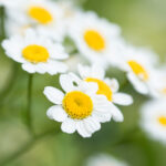 3d30期开奖结果最新公布,中奖号码全面揭晓 ng6wto