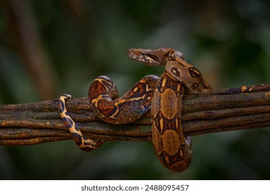 3d353期历史开奖号码查询与完整开奖记录回顾 3d353期历史开奖号码查询与完整开奖记录回顾