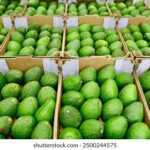 18073期双色球开奖号码已公布,快来看看你中奖了吗? q1uf94m66