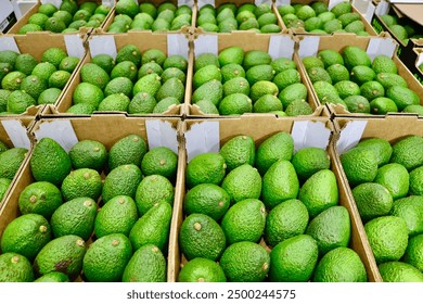 18073期双色球开奖号码已公布,快来看看你中奖了吗? 18073期双色球开奖号码已公布,快来看看你中奖了吗?