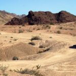 18077期开奖结果公布,大奖花落谁家? yxdiqu