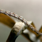 3d93期开奖结果最新公布与详细中奖号码查询 zmi42