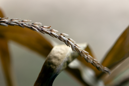 3d93期开奖结果最新公布与详细中奖号码查询 3d93期开奖结果最新公布与详细中奖号码查询